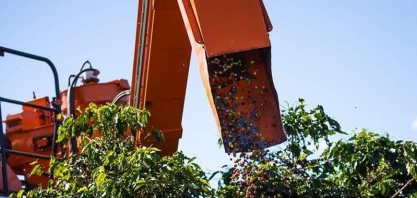 Café sobe em Nova York após ajuste técnico