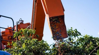 Café sobe em Nova York após ajuste técnico