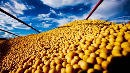 Soja segue em queda na bolsa de Chicago;clima favorável e demanda em baixa