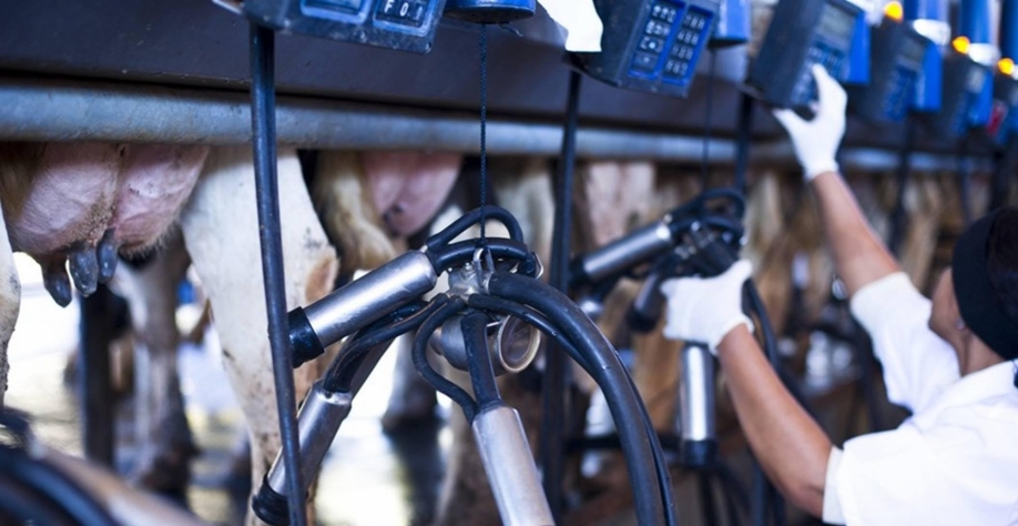 Preço do leite recua em meio a aumento da oferta e custos mais altos