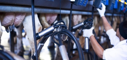 Preço do leite recua em meio a aumento da oferta e custos mais altos