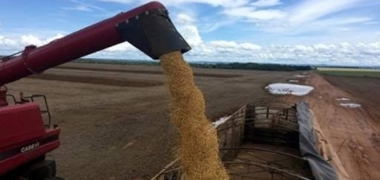 Soja se mantém com preços em alta na bolsa de Chicago