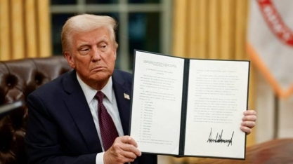 Tarifaço de Trump: Setores do agro do Brasil reagem ao aumento das tarifas