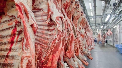 Brasil deve bater recorde de exportação de carne bovina mesmo sem os EUA, diz analista