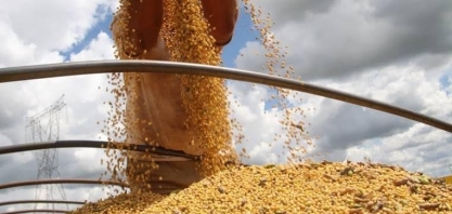 USDA reduz números de soja nos EUA e Brasil e modo turbo na comercialização