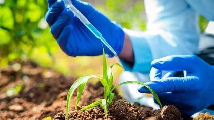 BNDES libera recursos para produção de bioinsumos em cooperativas