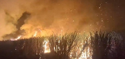 SP: Queimas controladas estão suspensas por 30 dias devido à estiagem