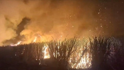 SP: Queimas controladas estão suspensas por 30 dias devido à estiagem