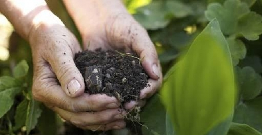 Agricultores priorizam redução de endividamento na safra 2025/26