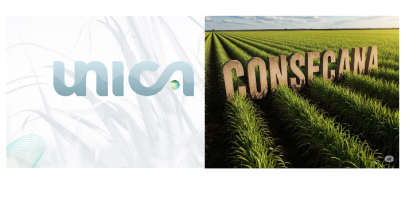  Embate da Única dividida contra a Orplana no Consecana gera instabilidade