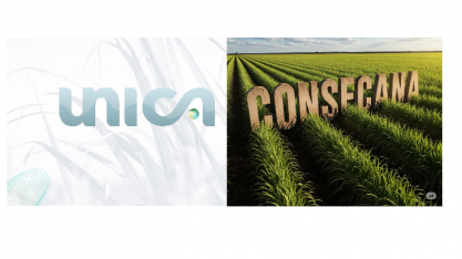  Embate da Única dividida contra a Orplana no Consecana gera instabilidade