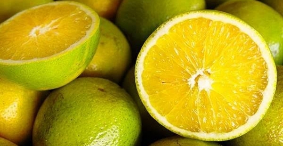Preço da laranja de mesa sobe com a demanda mais aquecida