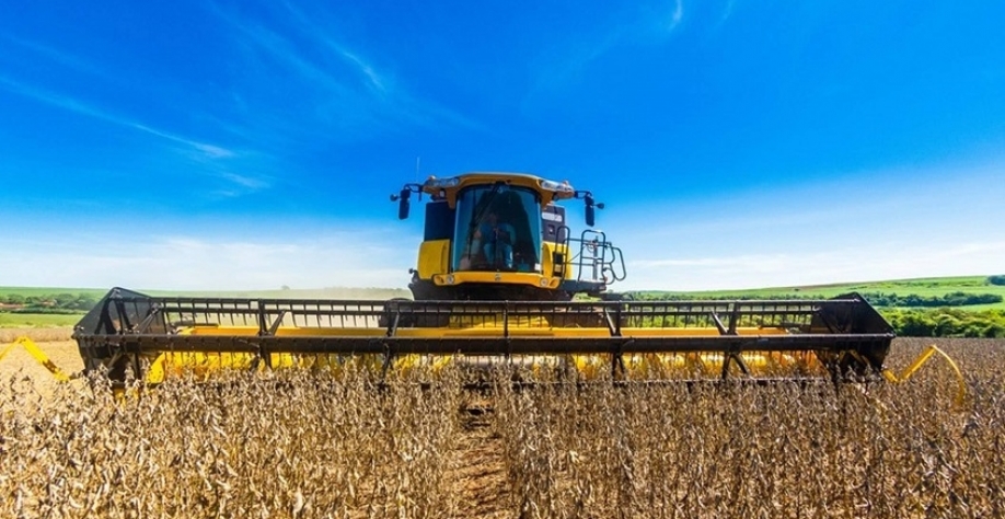 EUA acusam Brasil de práticas ilegais na produção agropecuária e florestal