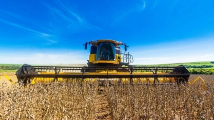 EUA acusam Brasil de práticas ilegais na produção agropecuária e florestal