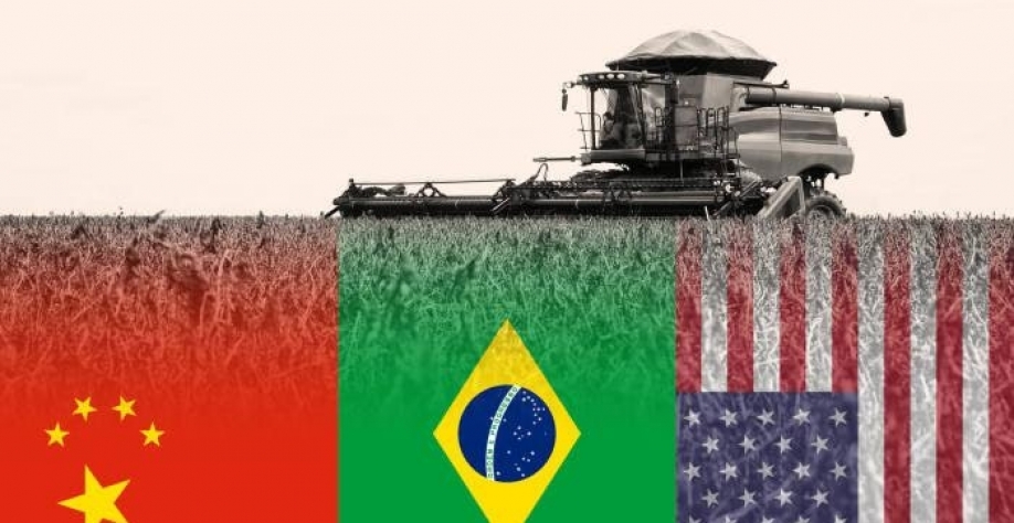 China admite ampliar compra de soja dos EUA e liga alerta no Brasil