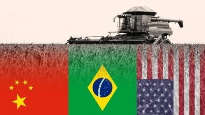 China admite ampliar compra de soja dos EUA e liga alerta no Brasil