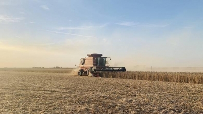 Preço da soja cai em Chicago com o aumento da produtividade nos EUA