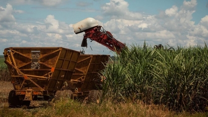 Brasil e México firmam acordo na área de biocombustíveis