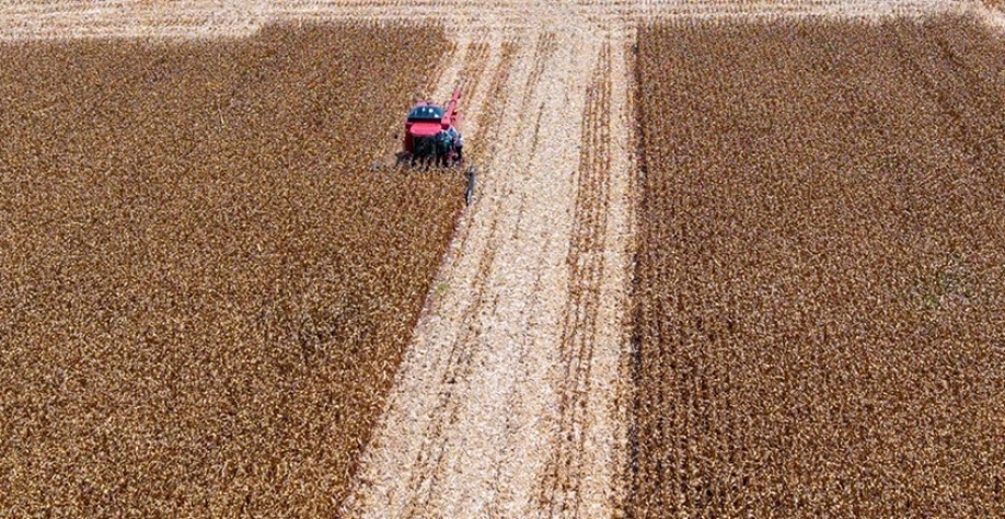 Clima favorece colheita em julho, mas preço de fertilizantes preocupa