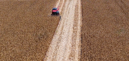 Clima favorece colheita em julho, mas preço de fertilizantes preocupa