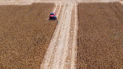 Clima favorece colheita em julho, mas preço de fertilizantes preocupa