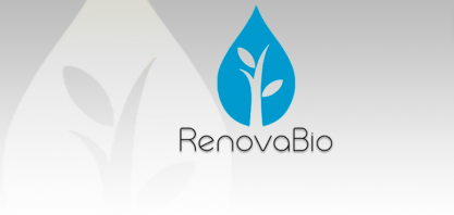  ESCLARECIMENTO SOBRE O RENOVABIO