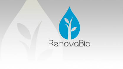  ESCLARECIMENTO SOBRE O RENOVABIO