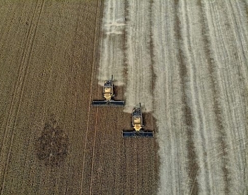 Uso de fertilizantes russos põe Brasil na mira de Trump