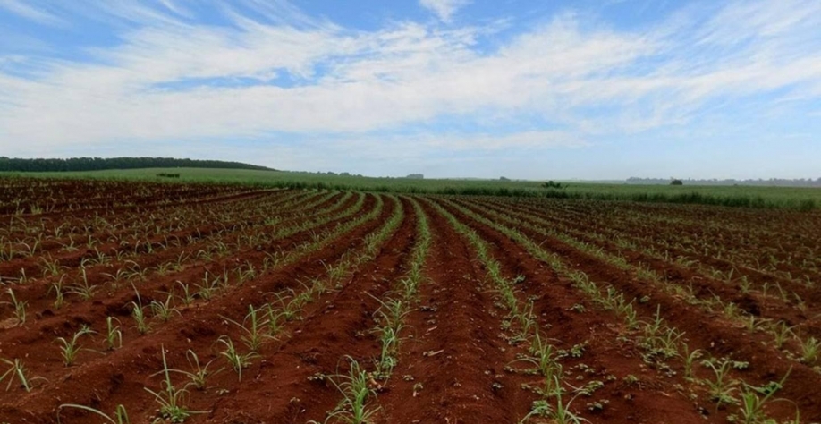 CTC elevou lucro em 37,5% e anuncia dividendos de R$ 50 milhões