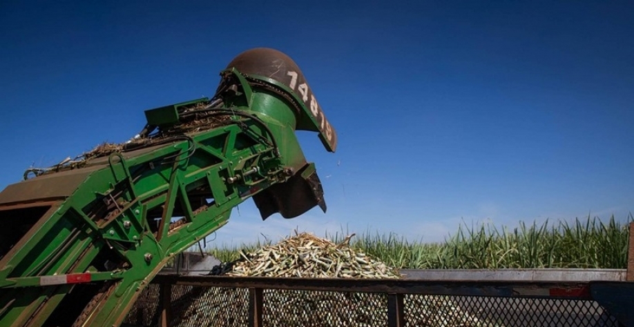 Preço do açúcar caiu mais de 6% em julho; etanol subiu no fim do mês