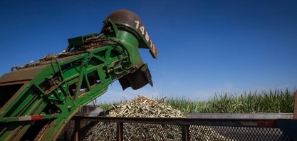 Preço do açúcar caiu mais de 6% em julho; etanol subiu no fim do mês