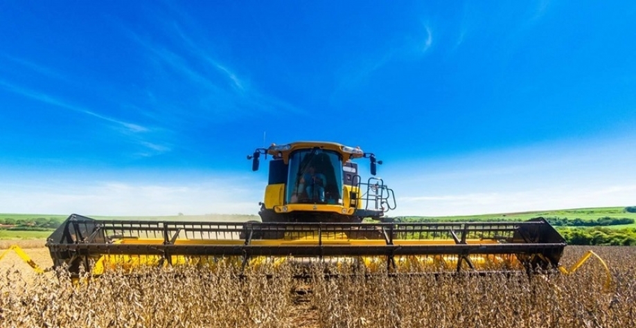 Preço da soja perde força na bolsa de Chicago