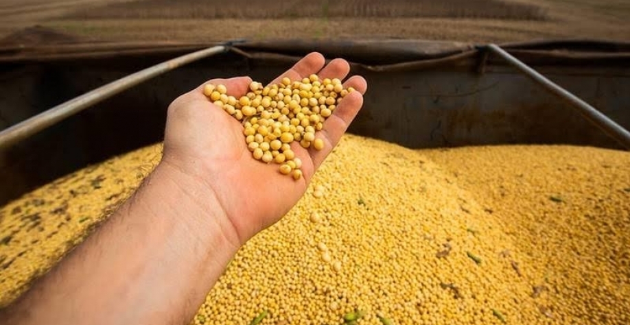 Projeção de recorde para a safra 2024/25 aumenta, puxada por soja e milho