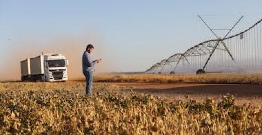 MT: Tecnologia garante três safras por ano e produção recorde no campo