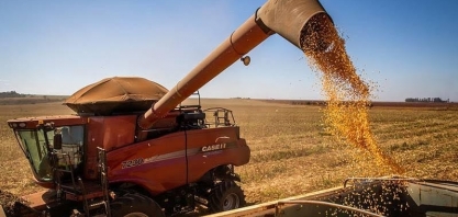 IBGE prevê recorde na produção de soja, milho, algodão e sorgo em 2025