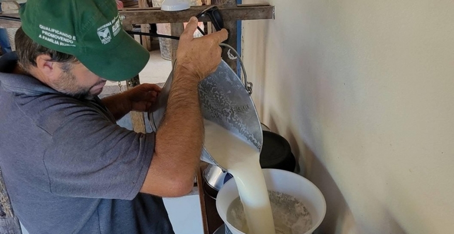 Produção de leite cresce no Brasil, mas preço ao produtor recua em julho