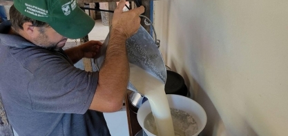 Produção de leite cresce no Brasil, mas preço ao produtor recua em julho