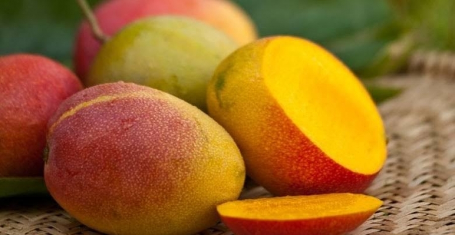 Tarifaço ameaça US$ 90 mi em exportações de frutas do Vale do São Francisco