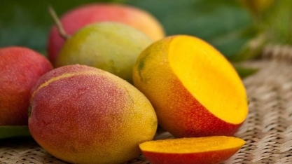 Tarifaço ameaça US$ 90 mi em exportações de frutas do Vale do São Francisco