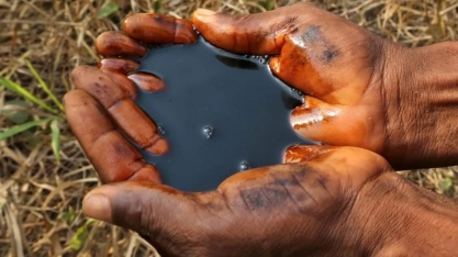 Empresa de relações públicas da Shell é contratada pela COP30