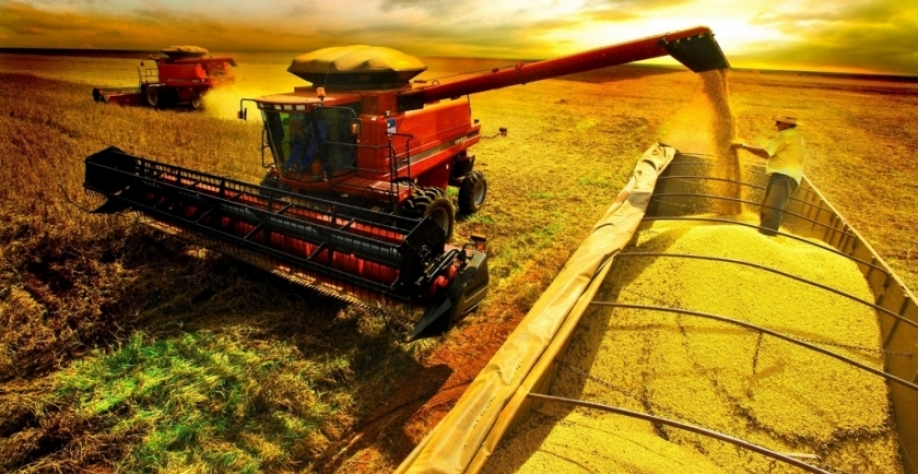 Mesmo com tarifaço, balança do agro eleva volume comercializado