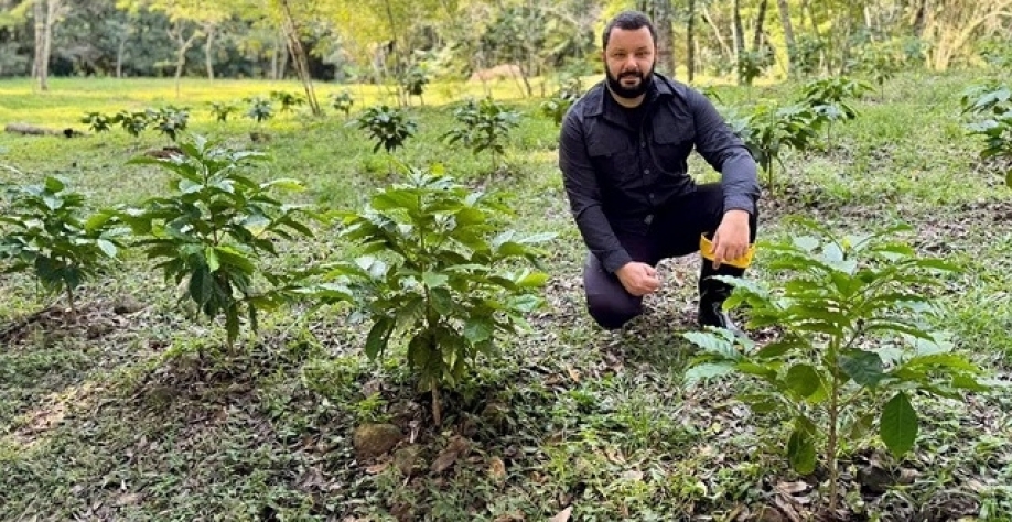 Café no frio: produtores apostam no cultivo do grão no Rio Grande do Sul