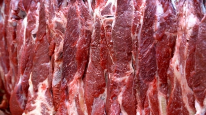 Demanda na Ásia deve garantir recorde nas exportações de carne bovina