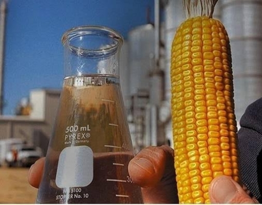 Grupo mineiro investe R$ 1,1 bilhão em usinas flex