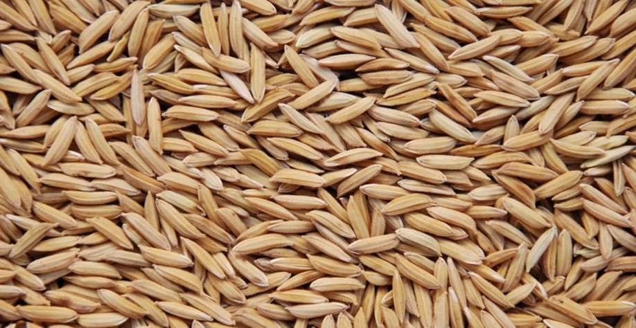 Preços do arroz em casca são os menores em mais de dois anos