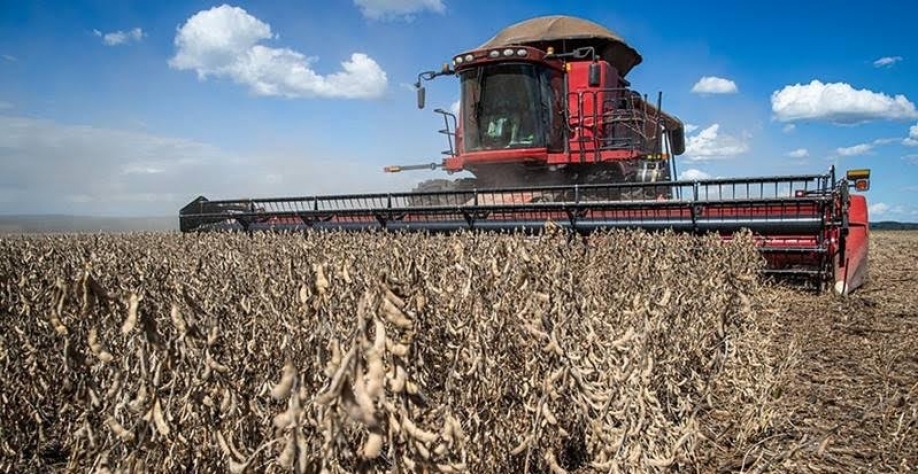 Valor da produção agrícola do Brasil caiu quase 4% em 2024
