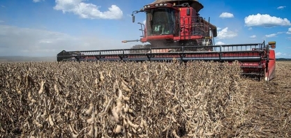 Valor da produção agrícola do Brasil caiu quase 4% em 2024