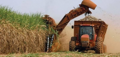 Usinas citadas por elo com PCC processam 2,5% da cana do Centro-Sul