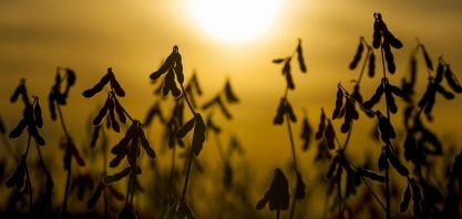 Falta de chuva impactará produção em grande parte do país entre set. e nov.
