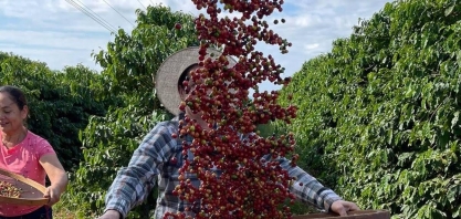 Agropecuária registra saldo negativo de empregos em agosto